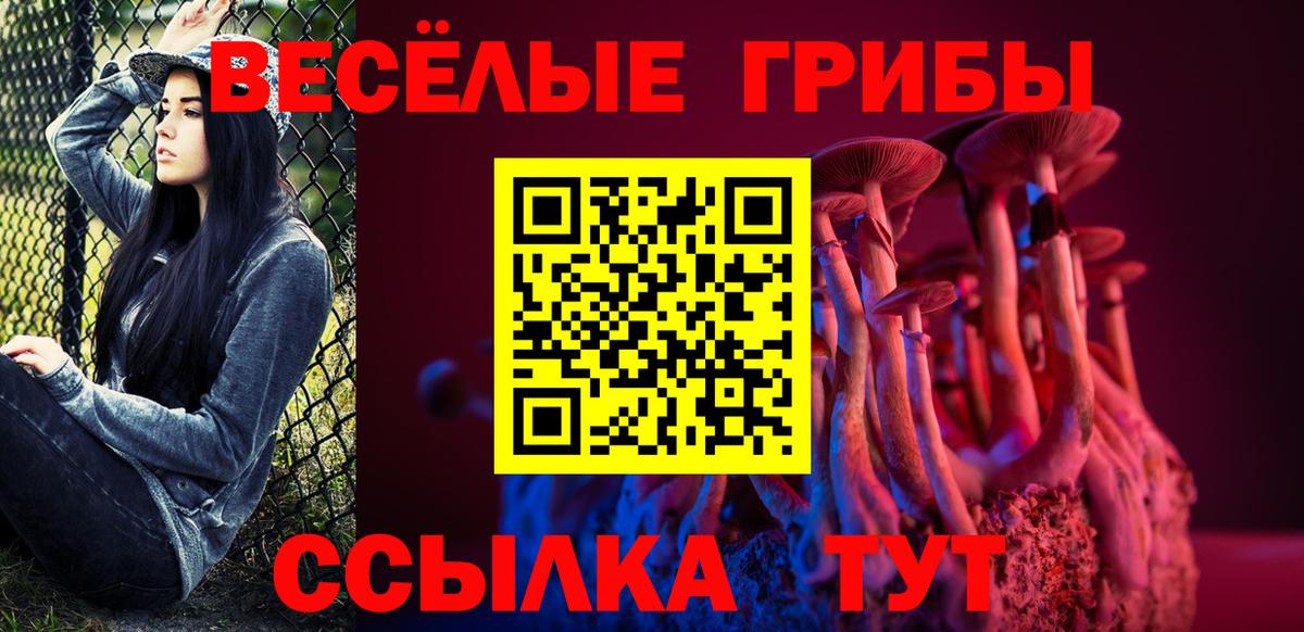 Пенза  Псилоцибиновые грибы мухоморы  Вход с VPN  Галлюциногенные грибы Psilocybe 