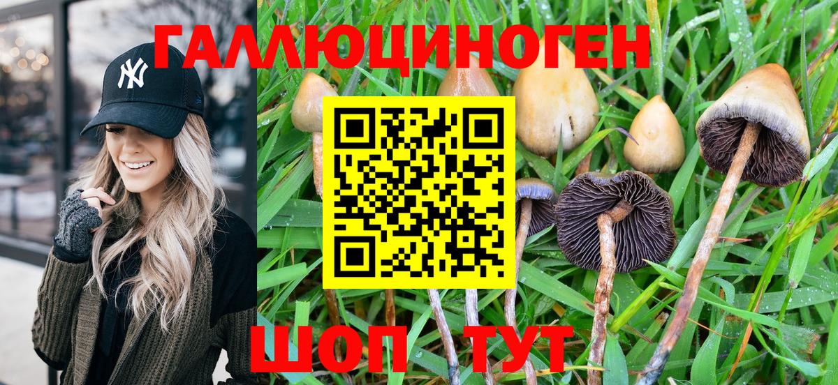 Галлюциногенные грибы MAGIC MUSHROOMS Пенза